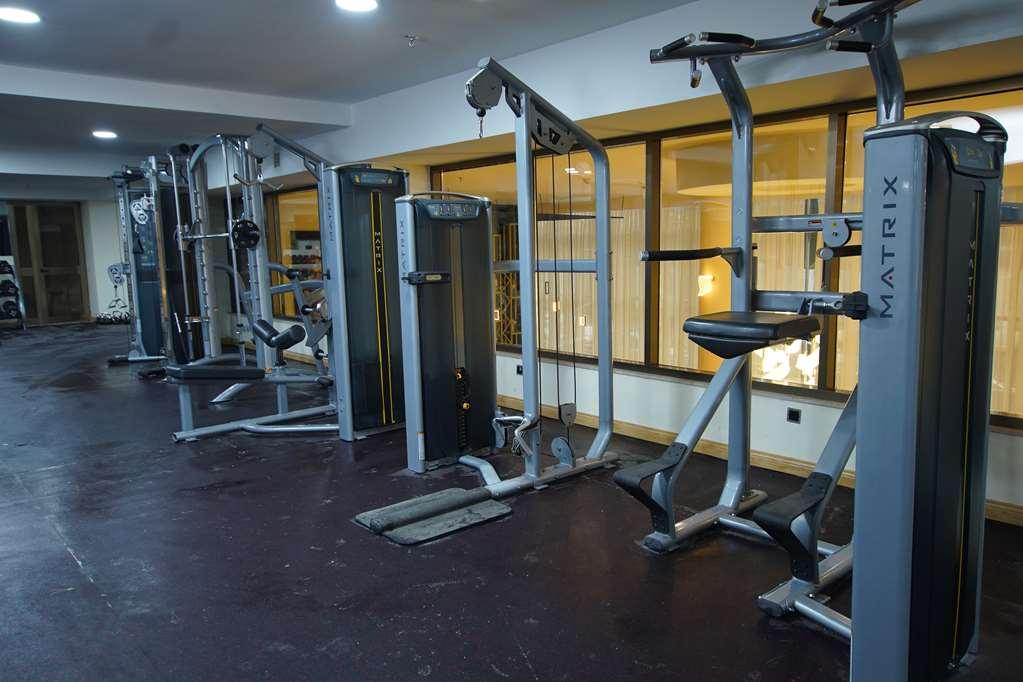 Best Western Premier Dynasty Addis Ababa Faciliteter billede